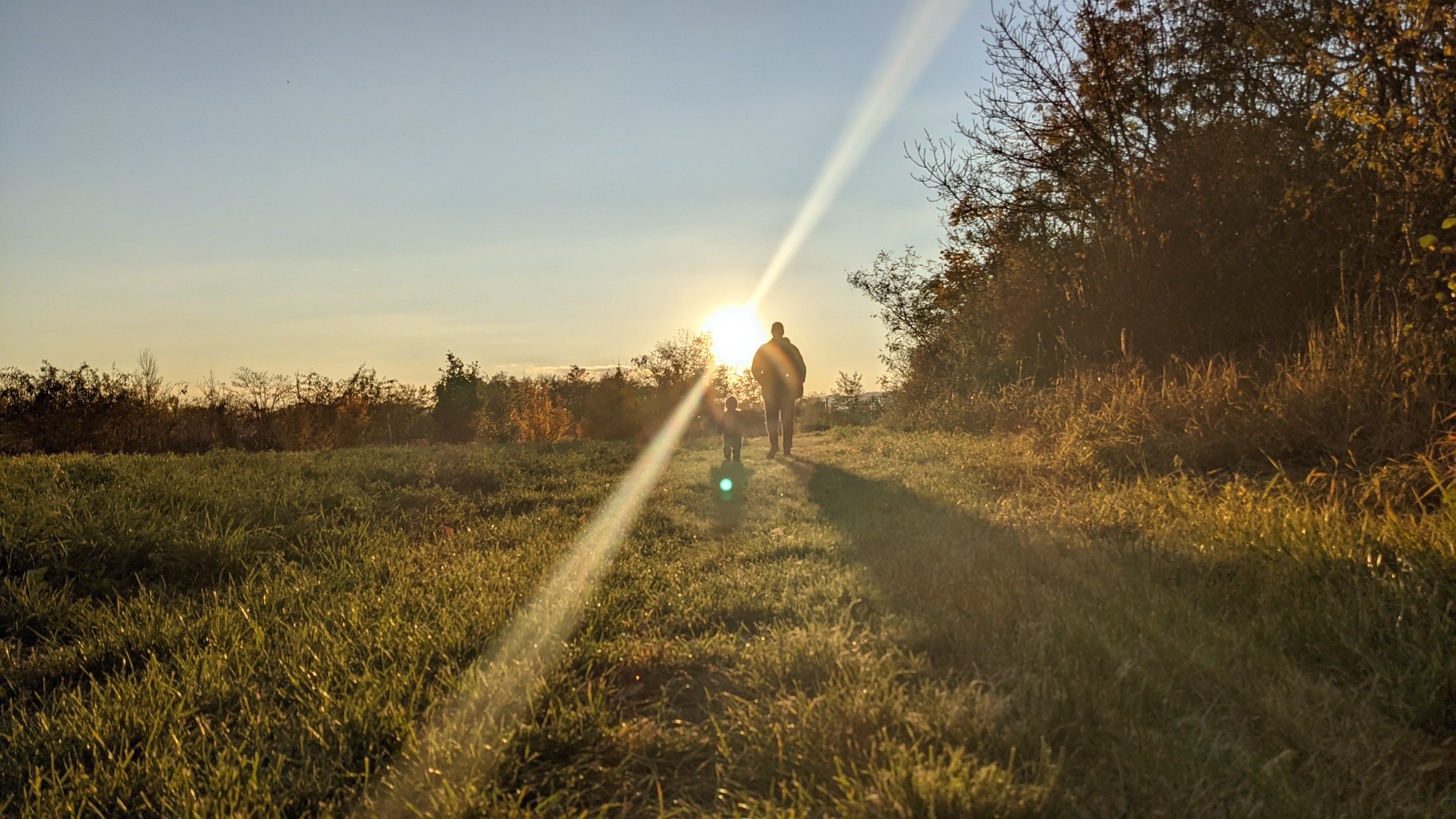 Background Photo for Domenik Reitzner