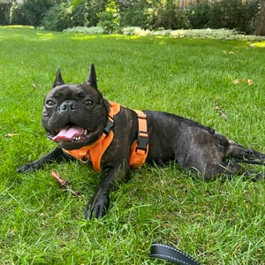 Primary Photo for Adam Buffett