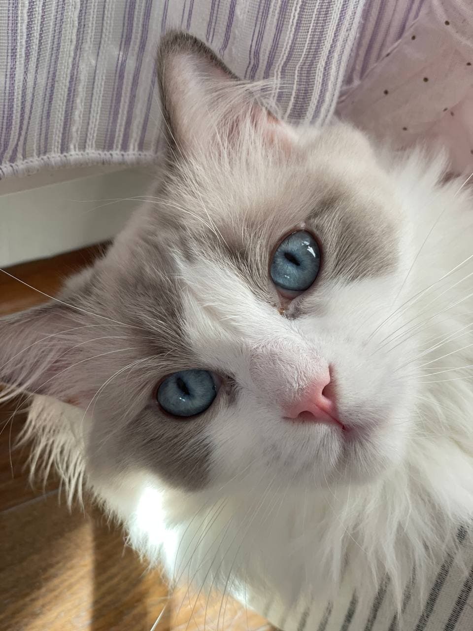 Primary Photo for Mari B