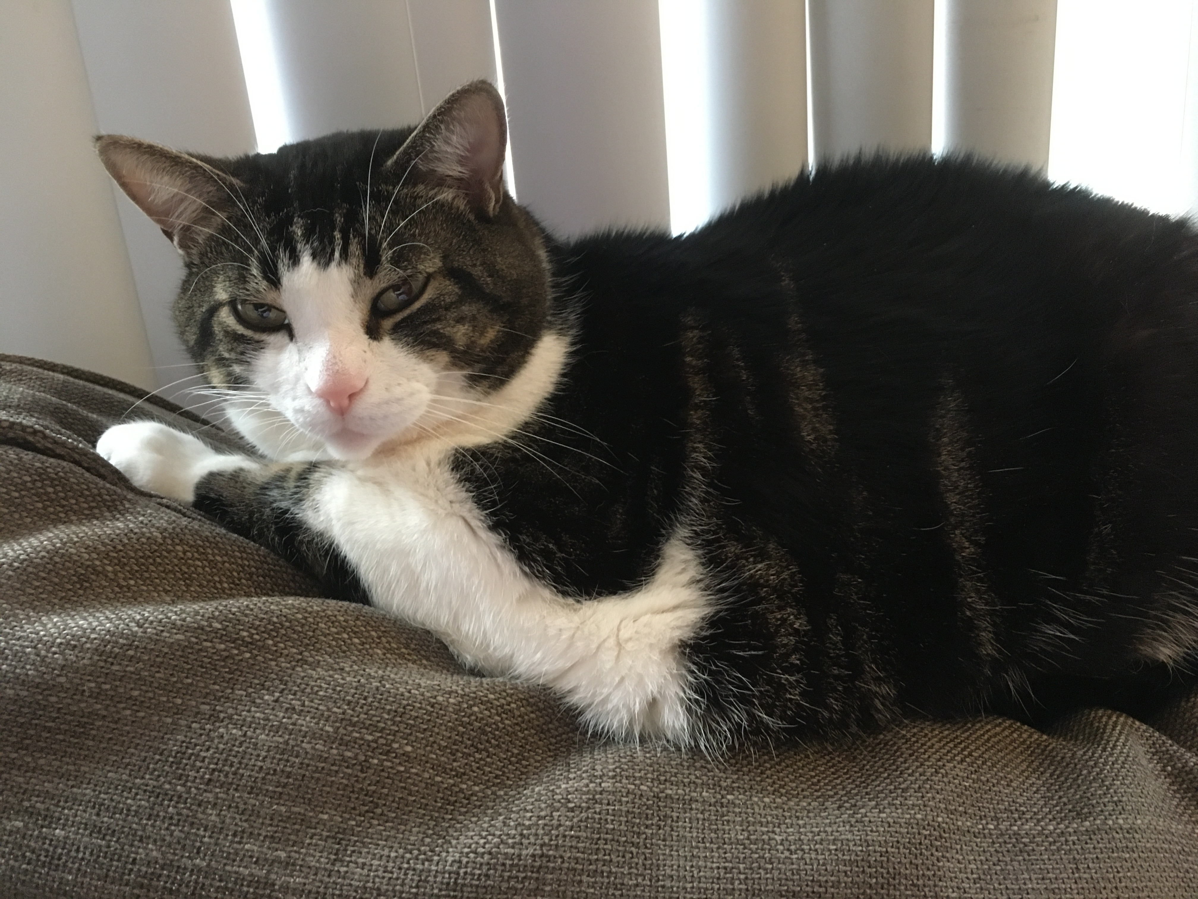 Primary Photo for Aya 