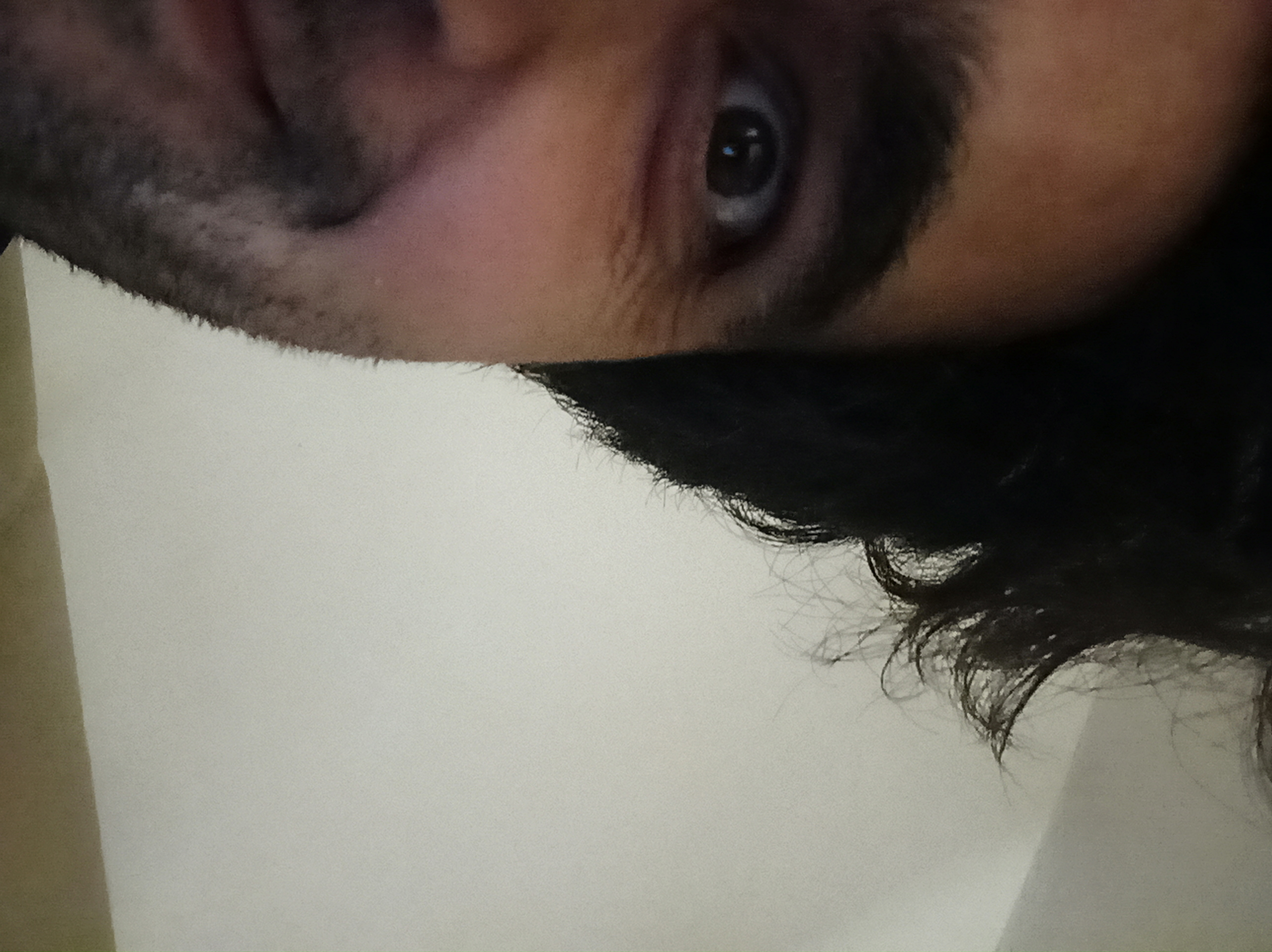 Primary Photo for Amin Arabi