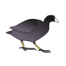 Primary Photo for Phil D