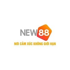 Primary Photo for New88 Cco