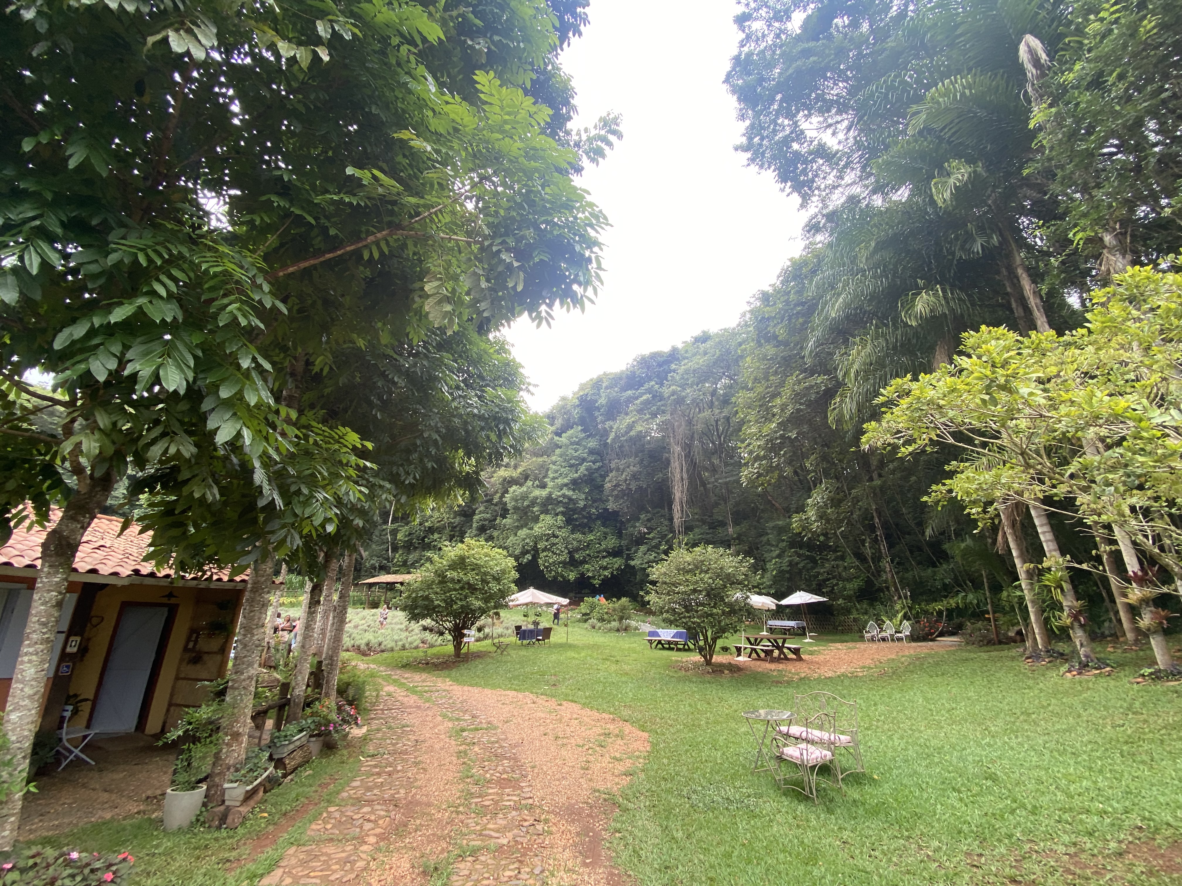 Background Photo for Douglas  Alves