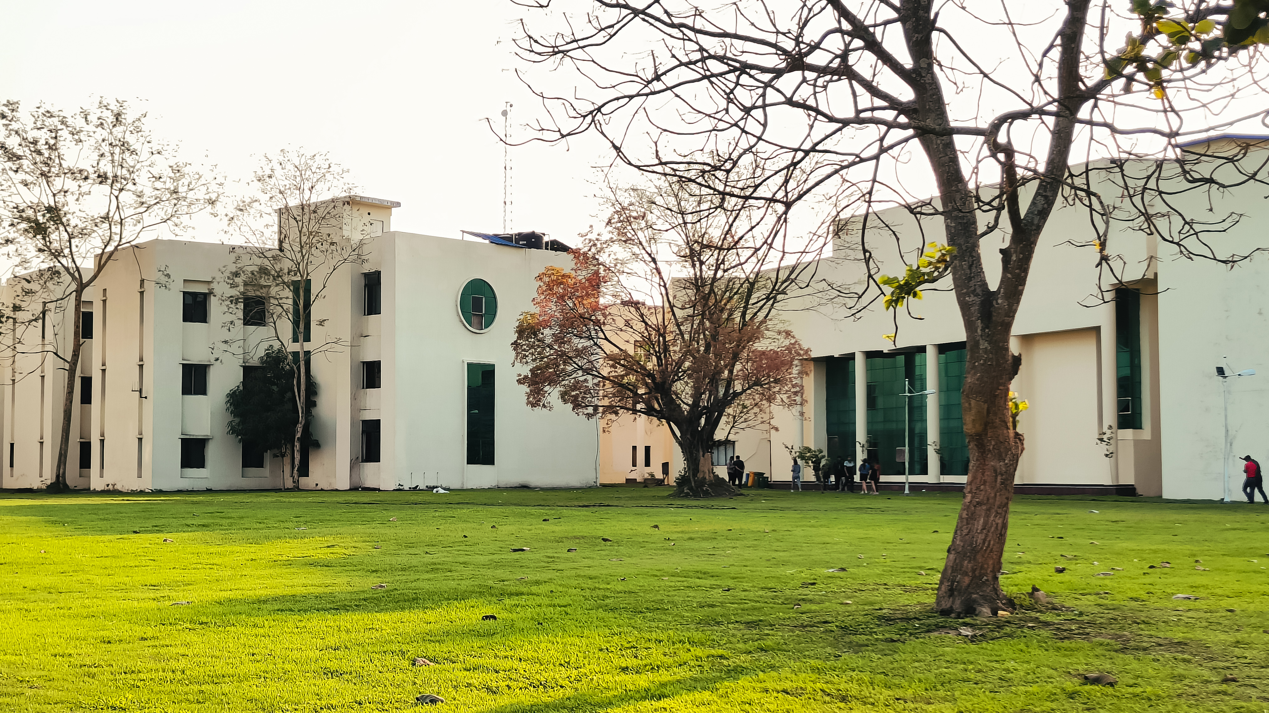 Background Photo for Bibhu Bhusan Bora