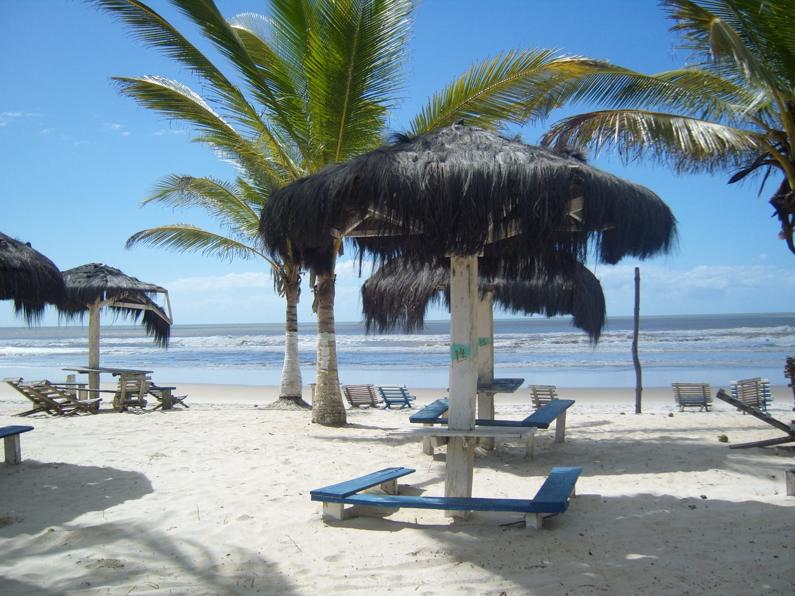 Background Photo for Everton Dos Santos Costa