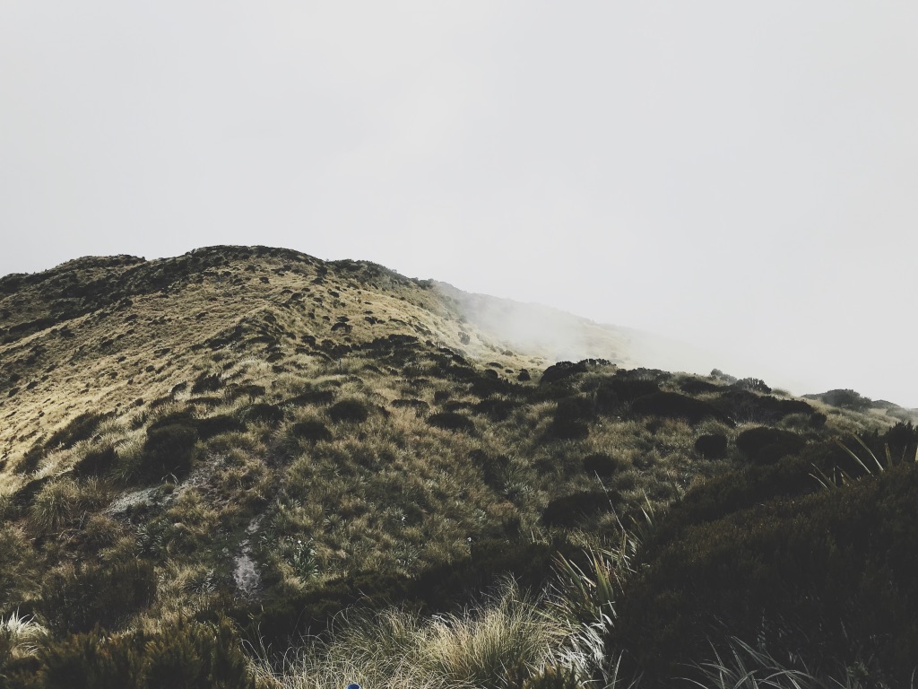 Background Photo for Frank Congson