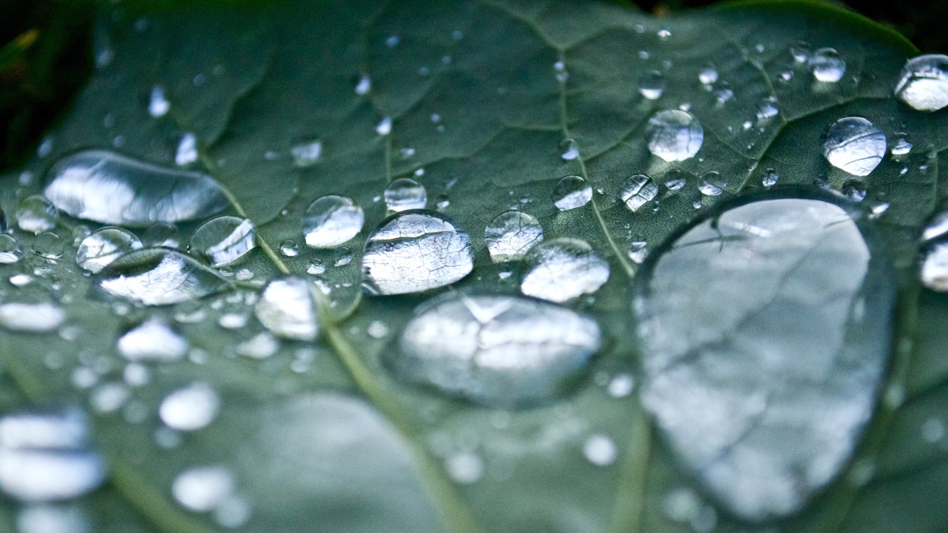 Background Photo for Morgan Will