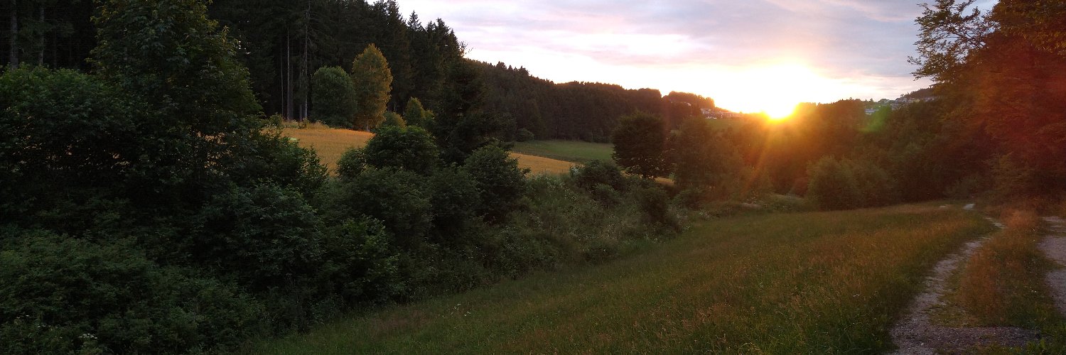 Background Photo for Florian Hammerschmidt 