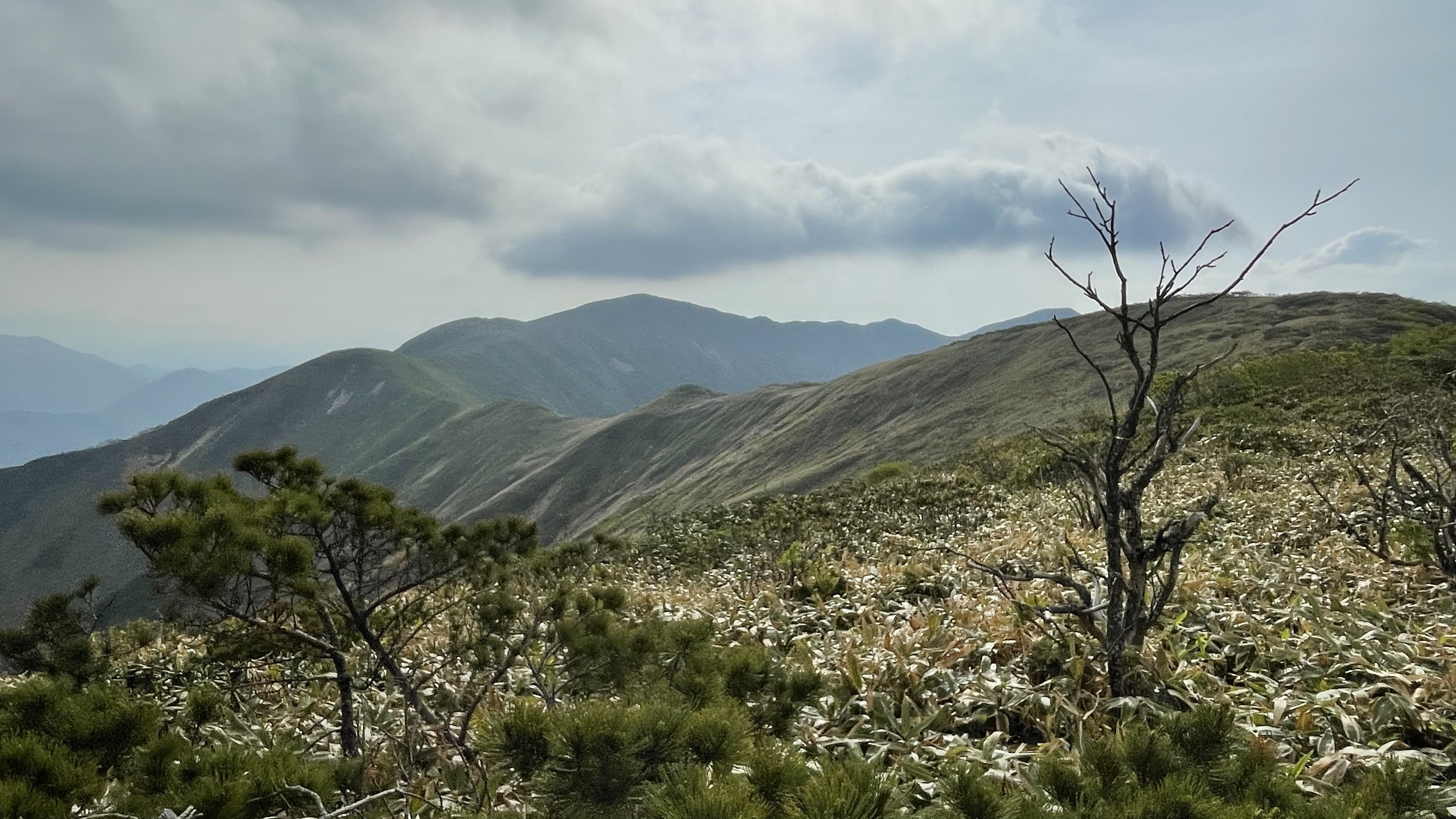 Background Photo for Brian Heise