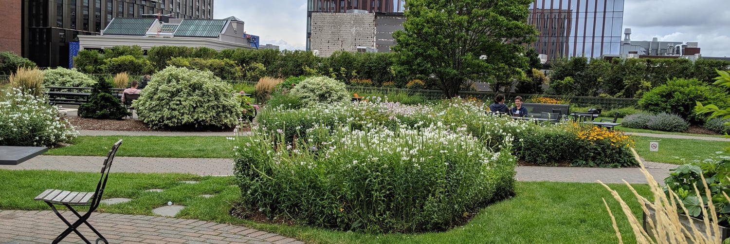 Background Photo for Ben S