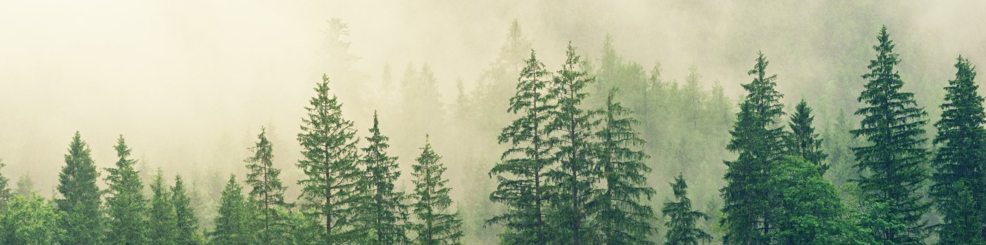 Background Photo for Julio Calvo