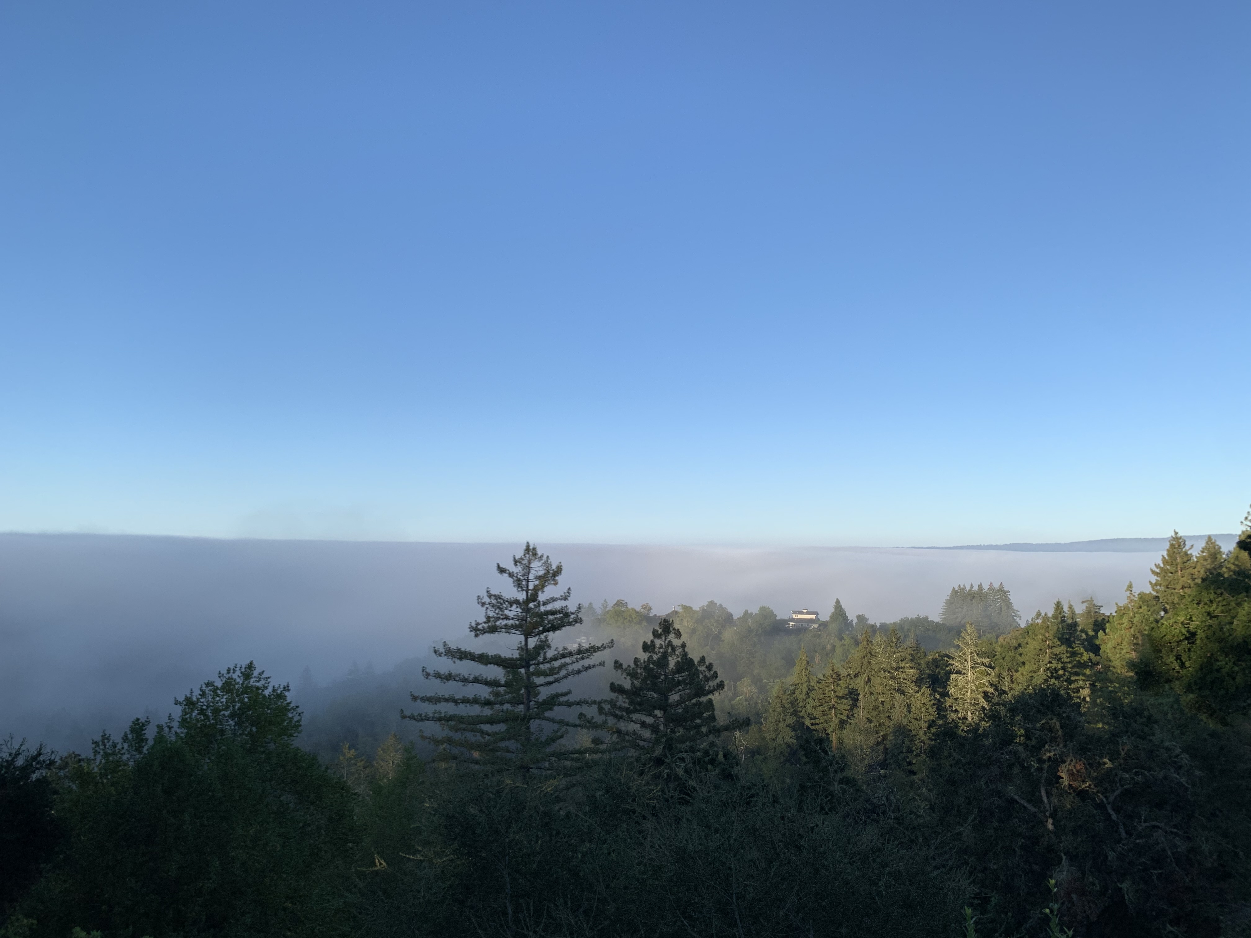 Background Photo for Sean Grove