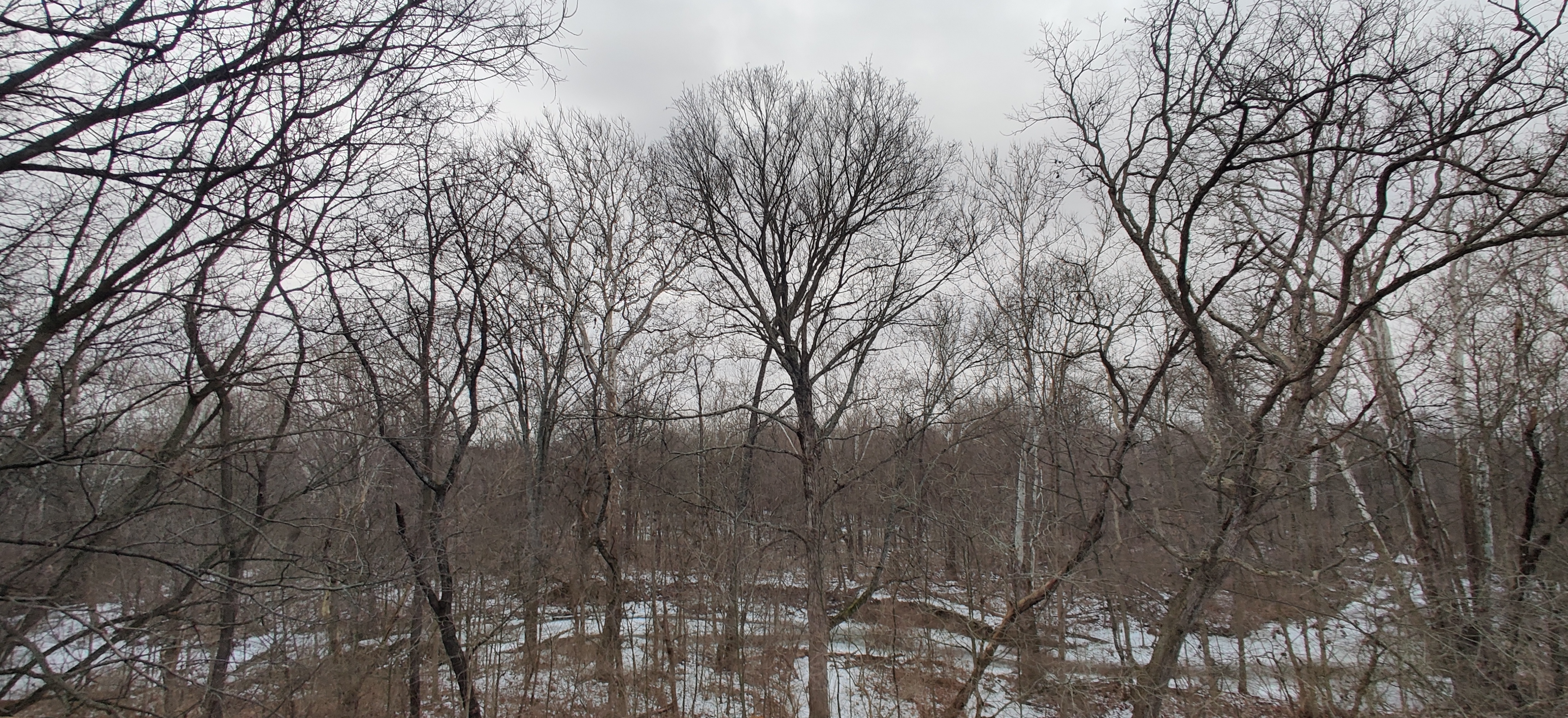 Background Photo for Bill Sempf