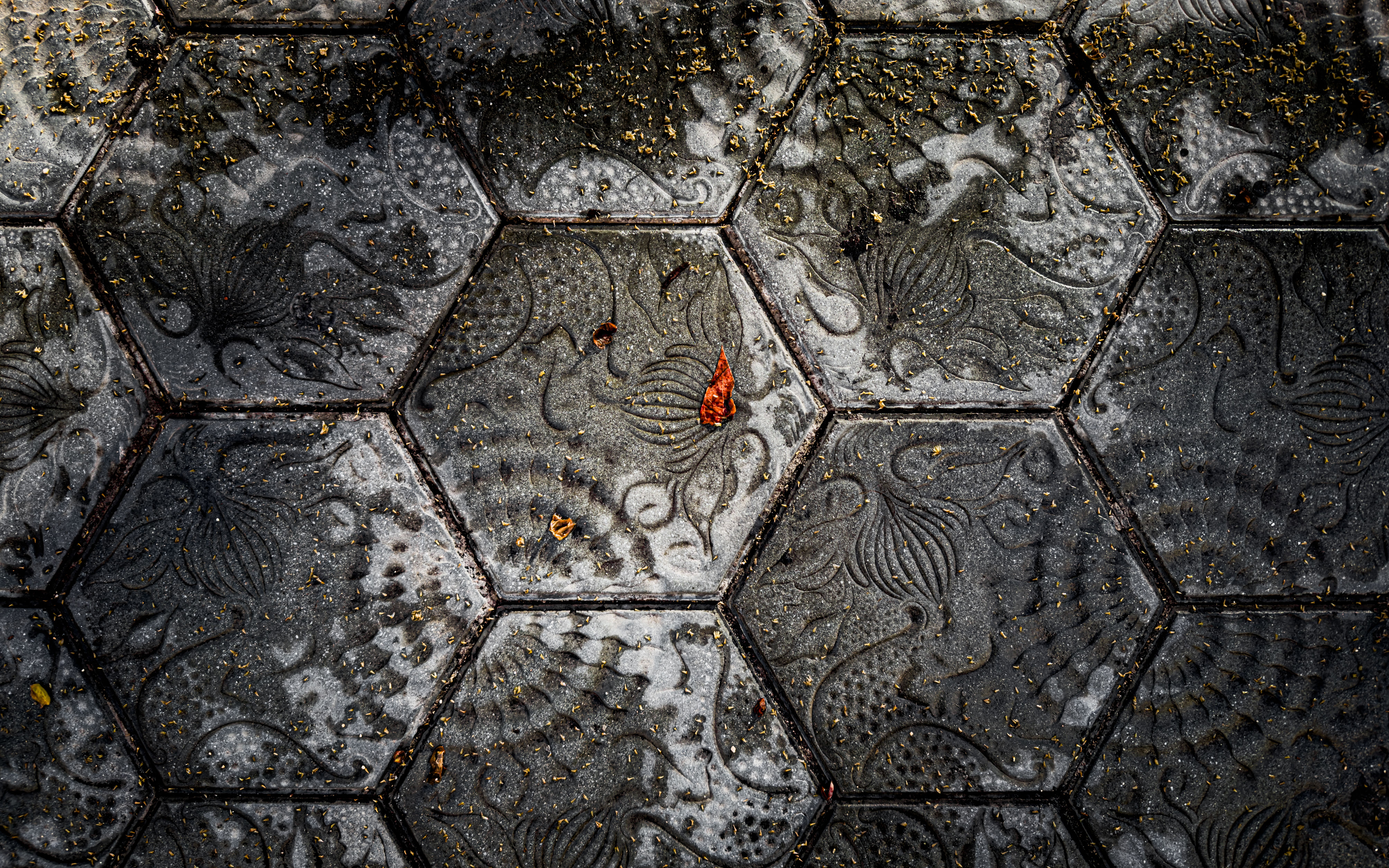 Cover Photo for Svelte Society – Barcelona