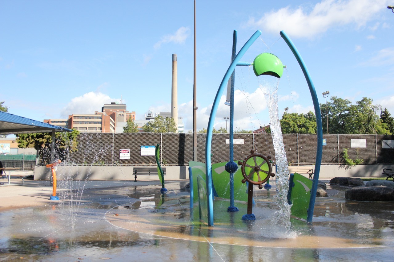 Cover Photo for Interconnected Interventions and Systemic Resilience