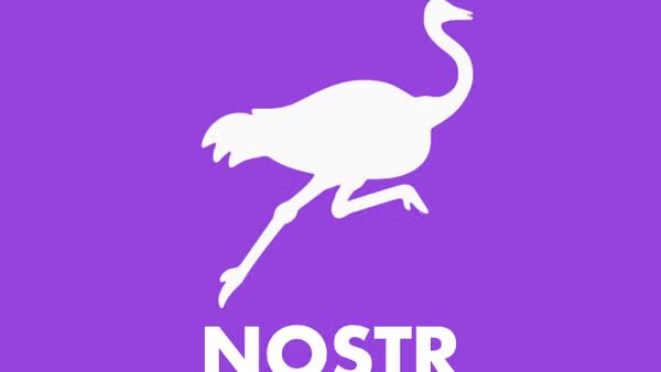 Cover Photo for Beginner Technical Nostr Workshop