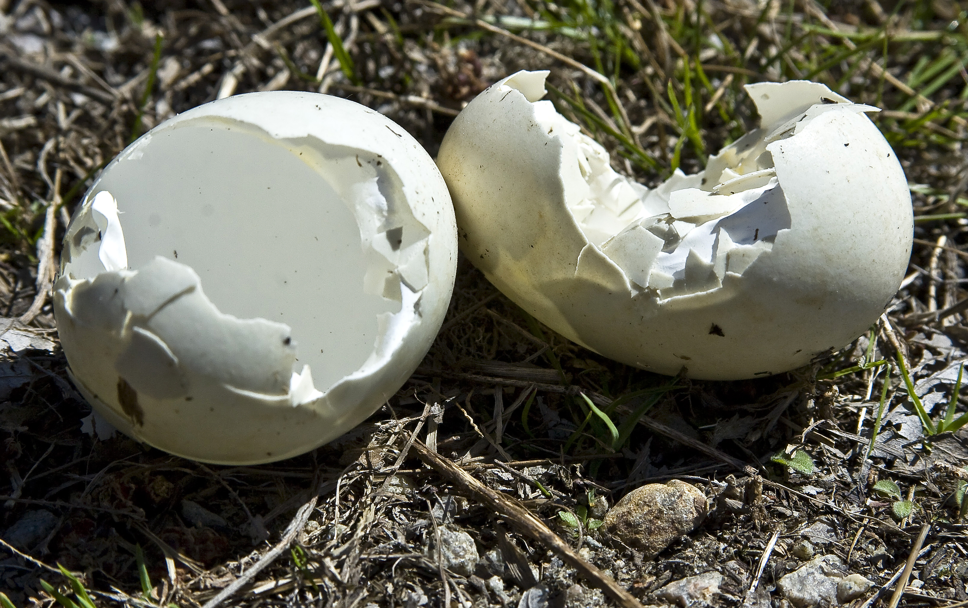 Event Cover Photo for A Taxonomy for Systems Changes